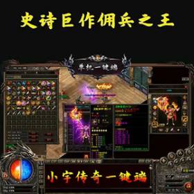 佣兵之王传奇单机版收藏版佣兵神宠自动拾取自动回收GM网单-佛系游戏