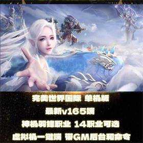 完美国际V165 完美世界GM后台 VM一键端 神机羽锋 W7-W11-佛系游戏