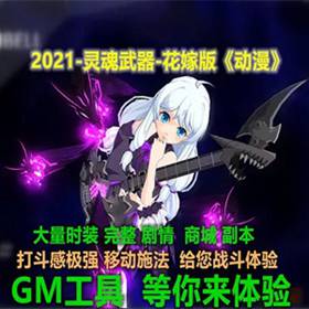 灵魂武器单机版SoulWorker72级花嫁版VM一键端PC大型3D游戏-佛系游戏