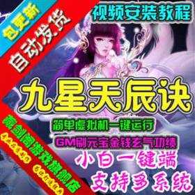 九星天辰诀网页游戏单机版虚拟机简单一键端GM刷元宝金钱玄气功绩-佛系游戏