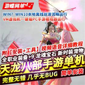天龙八部手游单机版神域一键端新宝宝时装GM工具刷元宝装备-佛系游戏
